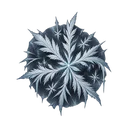 白霜